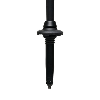 Alpine Carbon Cork Trekking Poles