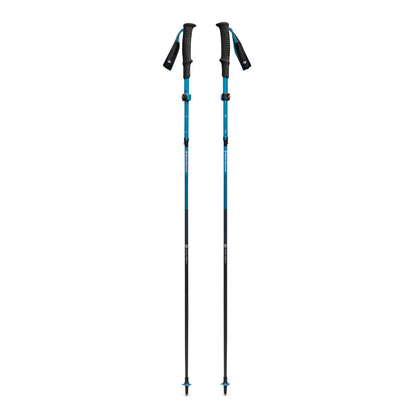 Dotace Carbon FLZ Poles