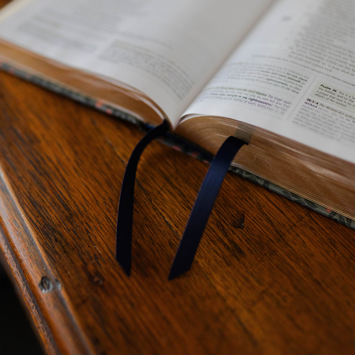 ESV Study Bible® | Abide