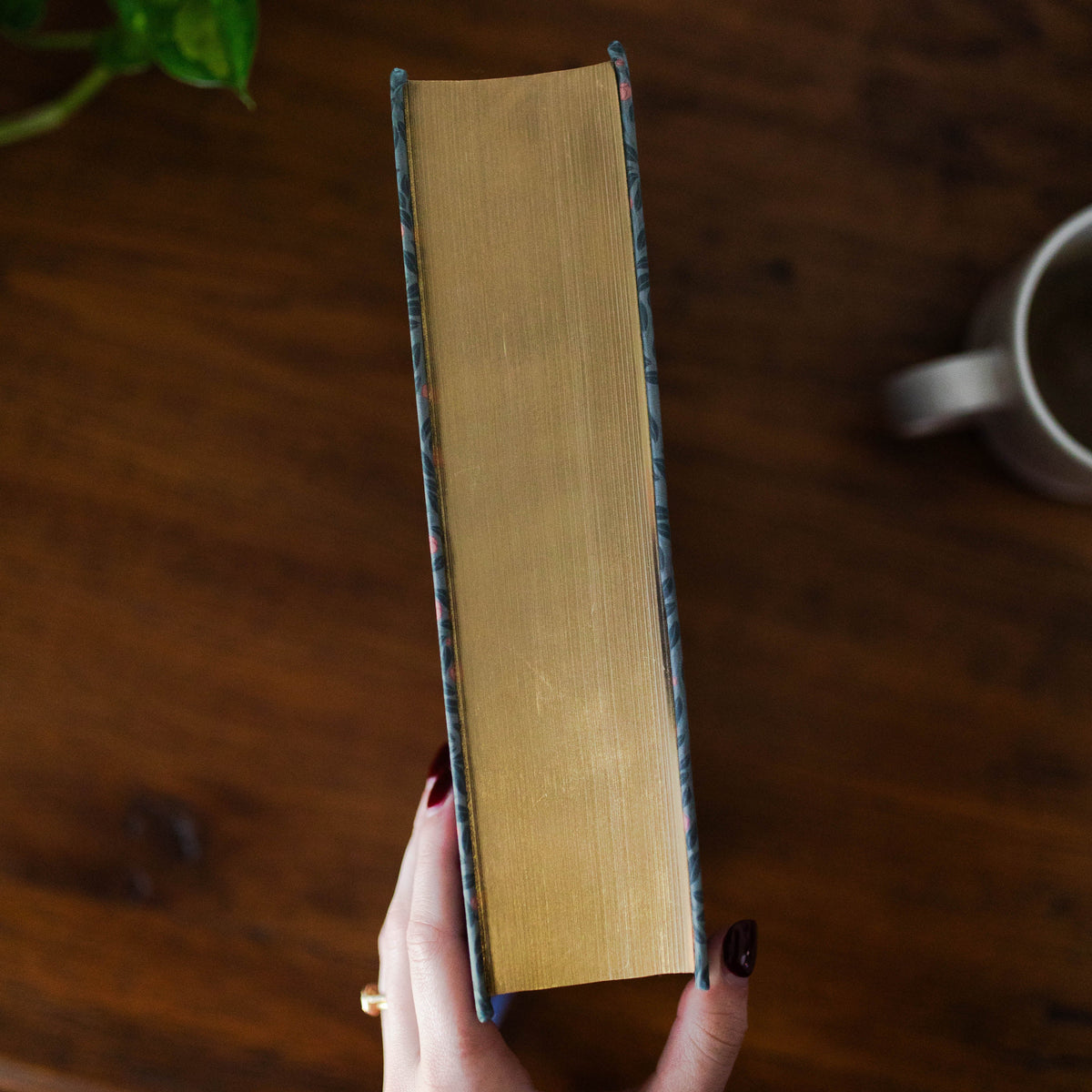 ESV Study Bible® | Abide