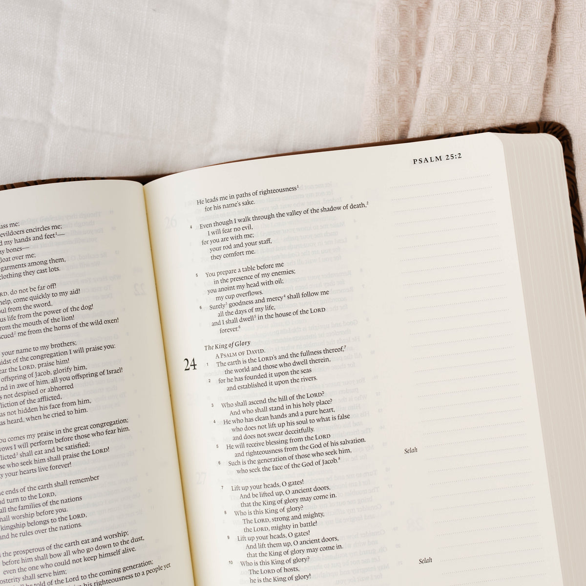 ESV Single Column Journaling Bible® - Treasured