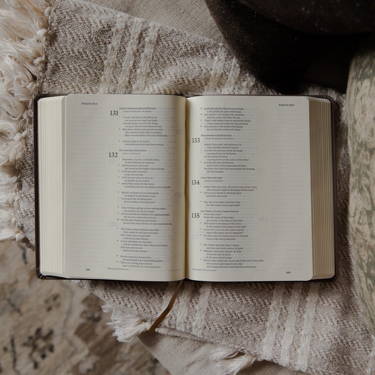 ESV Single-Column Journaling Study Bible | Delight