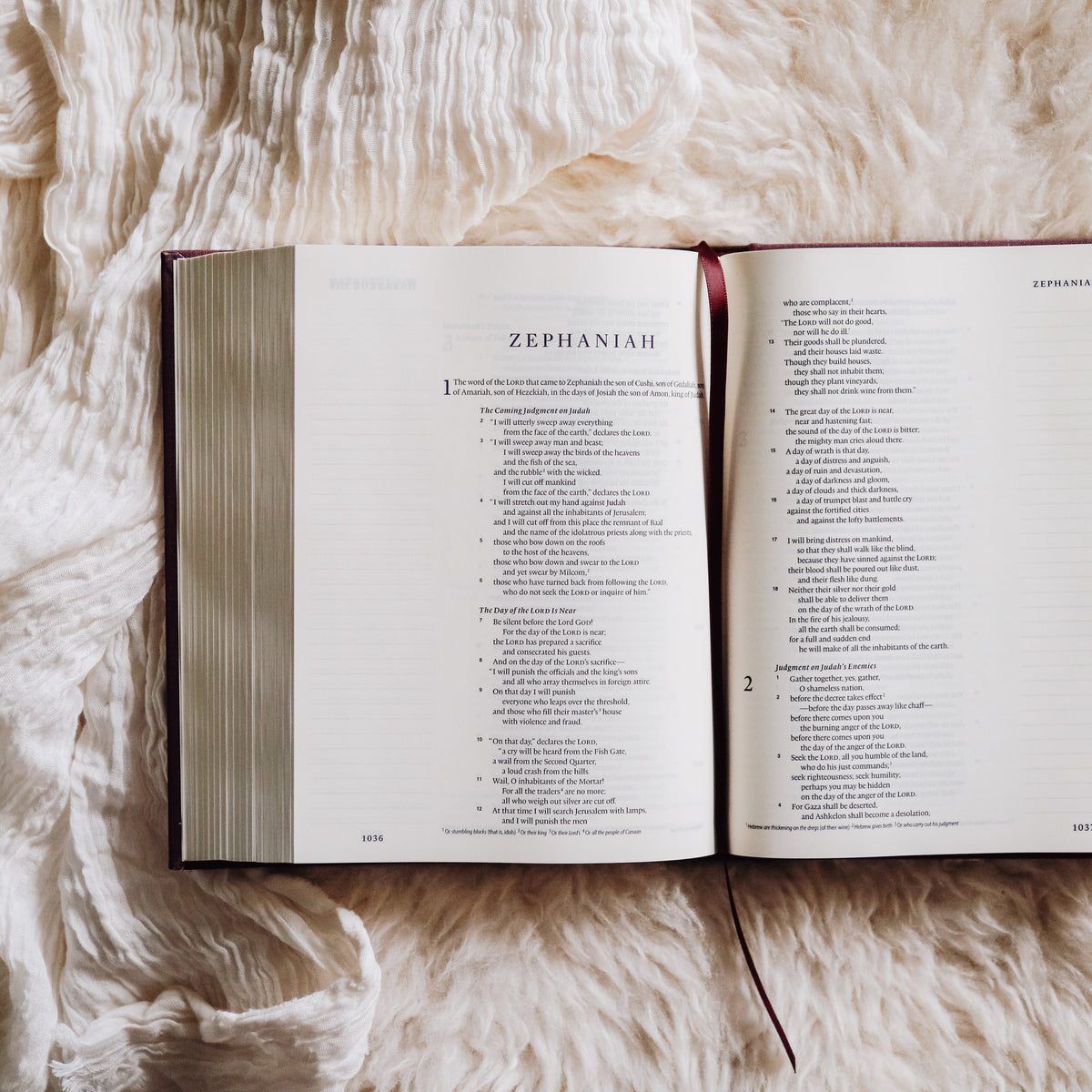ESV Single Column Journaling Bible - The belief I need Co.®