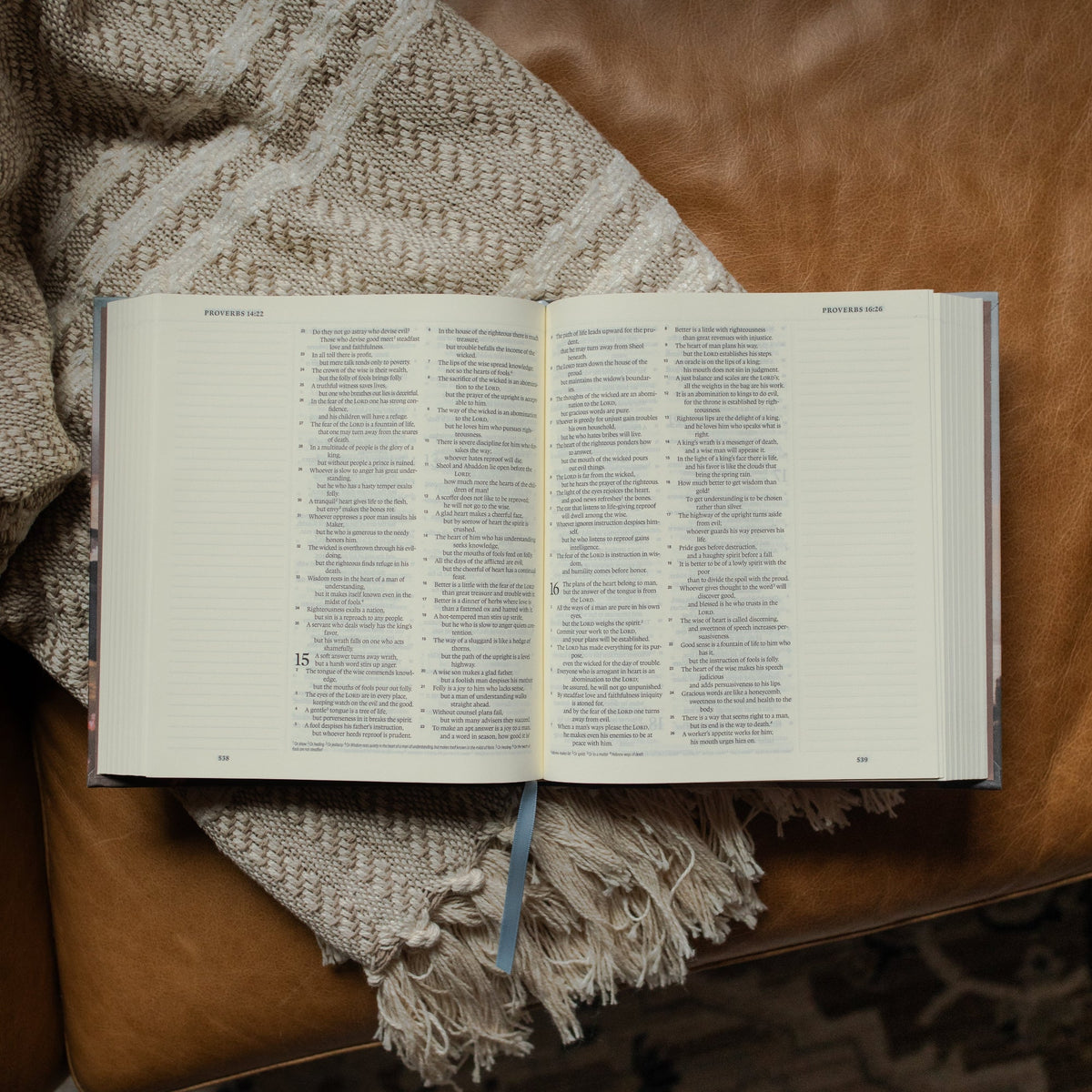 ESV Journaling Bible | Mountains