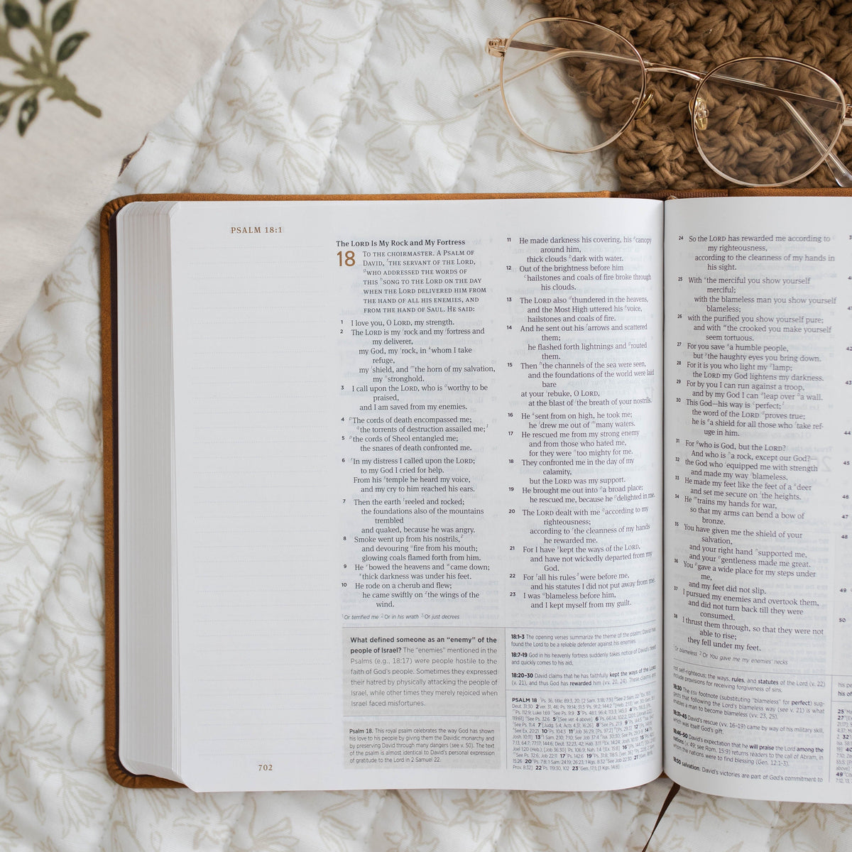 ESV Journaling Study Bible TruTone over Board, Nubuck Caramel