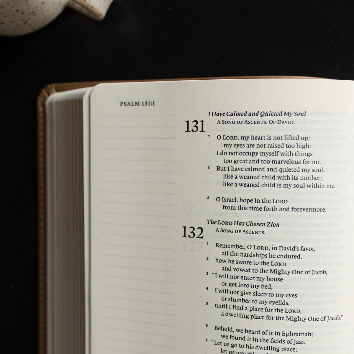 ESV Single Column Journaling Bible | Rooted