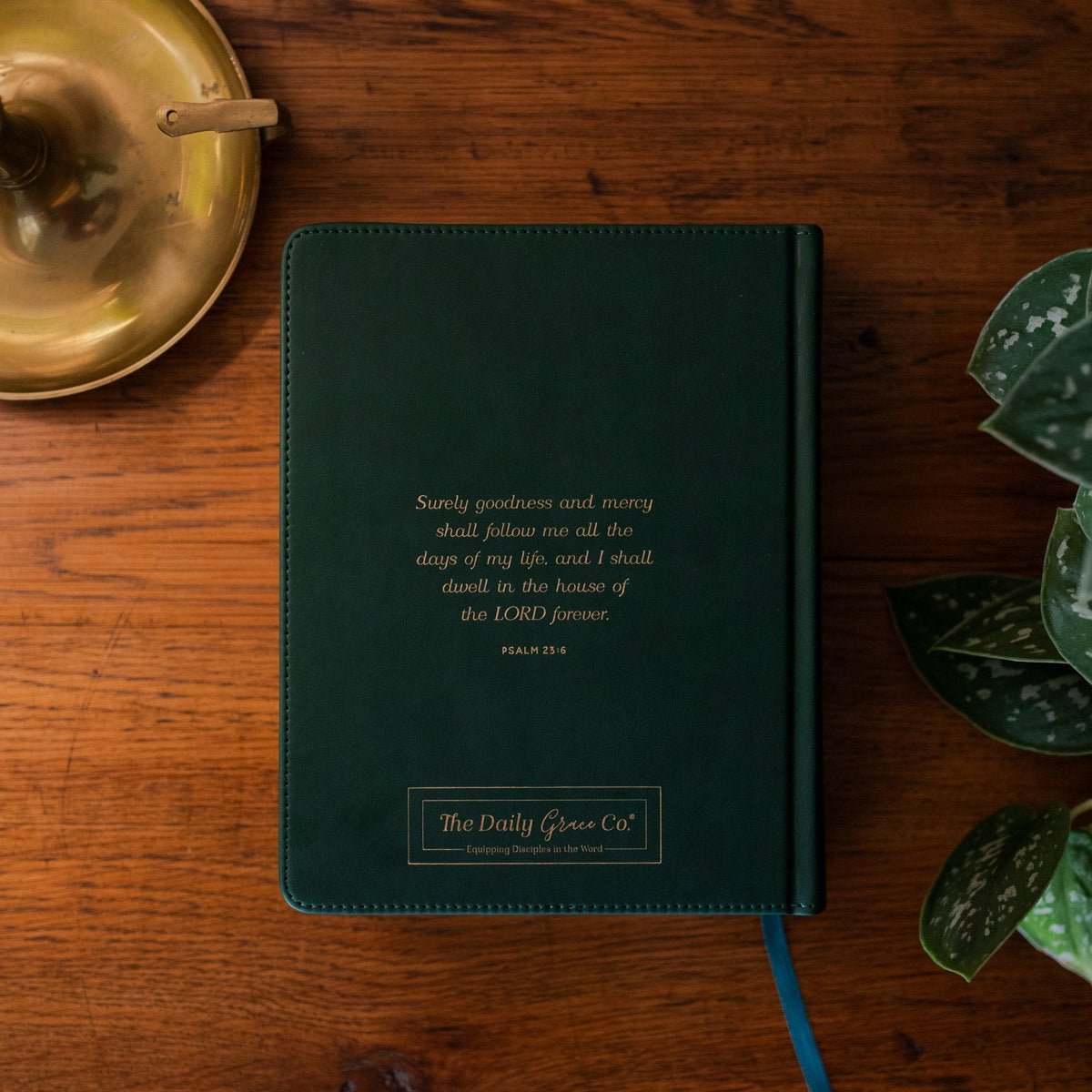 ESV Single Column Journaling Bible® | Wild Rose