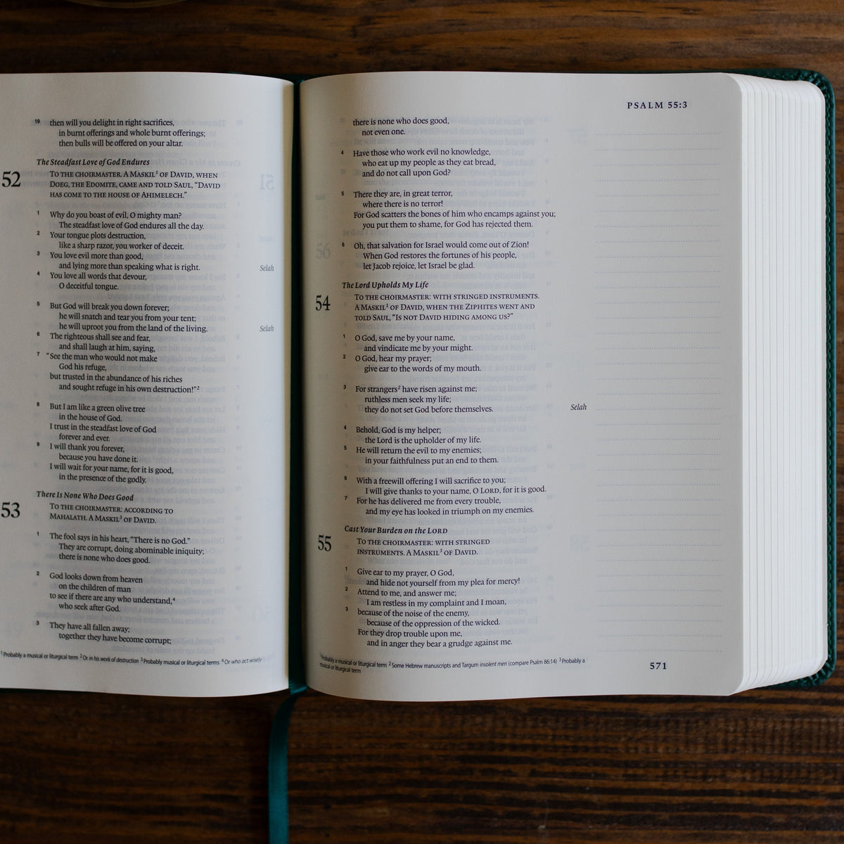 ESV Single Column Journaling Bible® | Wild Rose