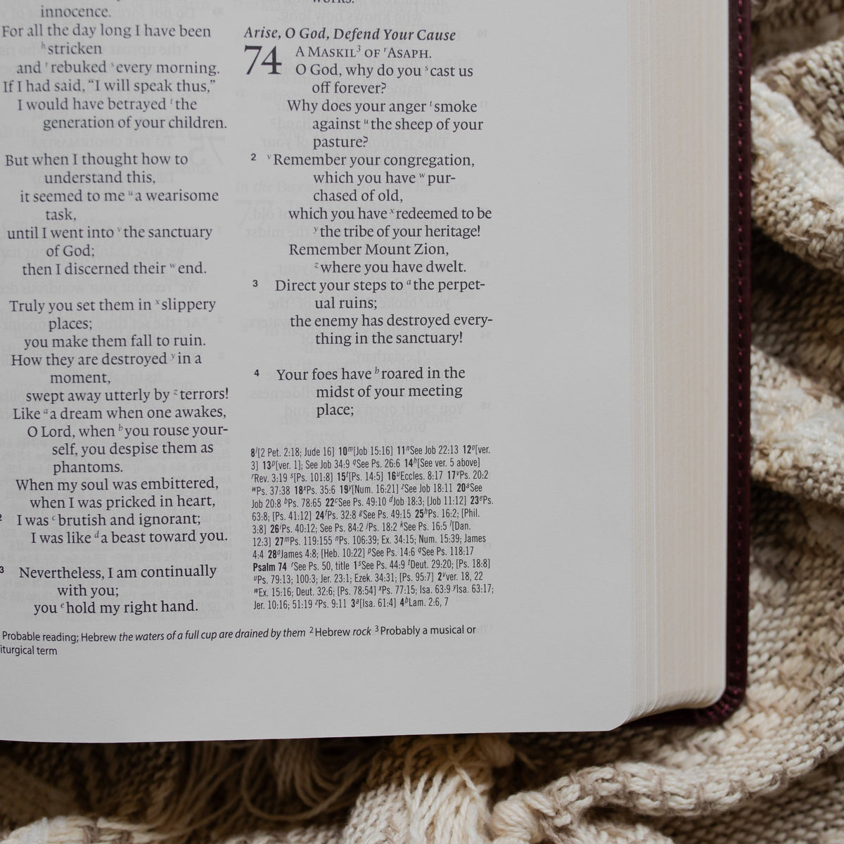 ESV Wide Margin Reference Bible - John 15:5