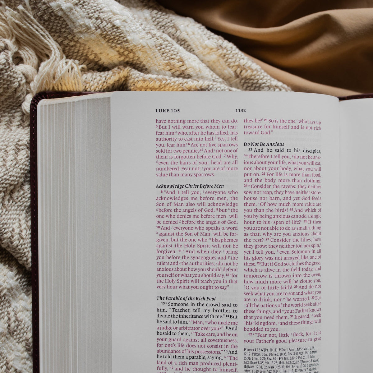 ESV Wide Margin Reference Bible - John 15:5
