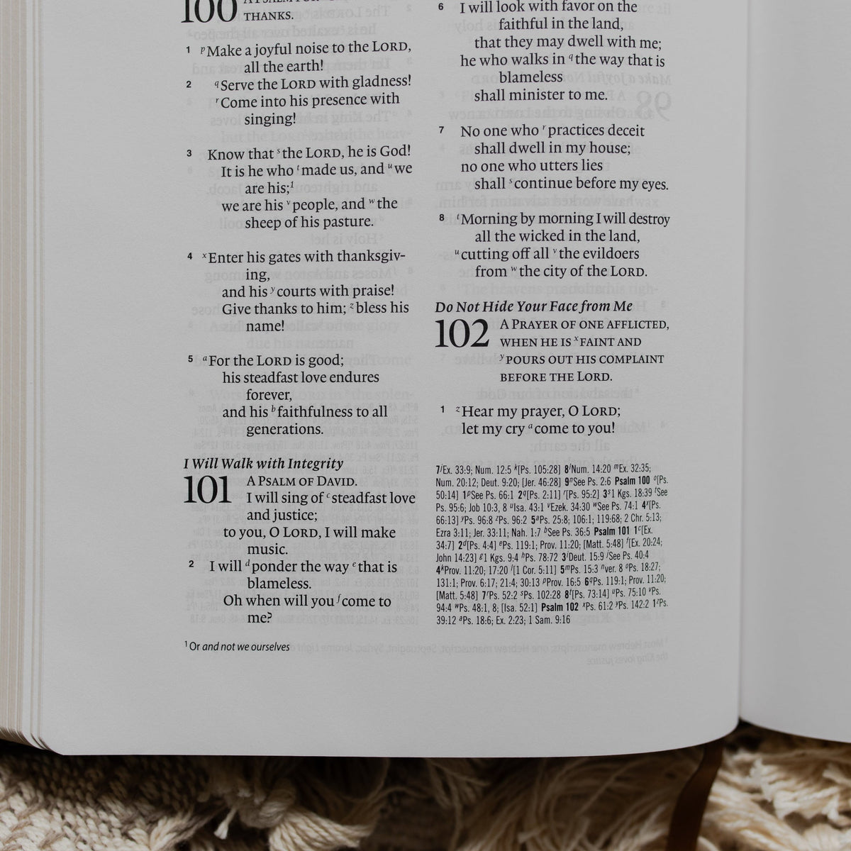 ESV Wide Margin Reference Bible - Morning Glory