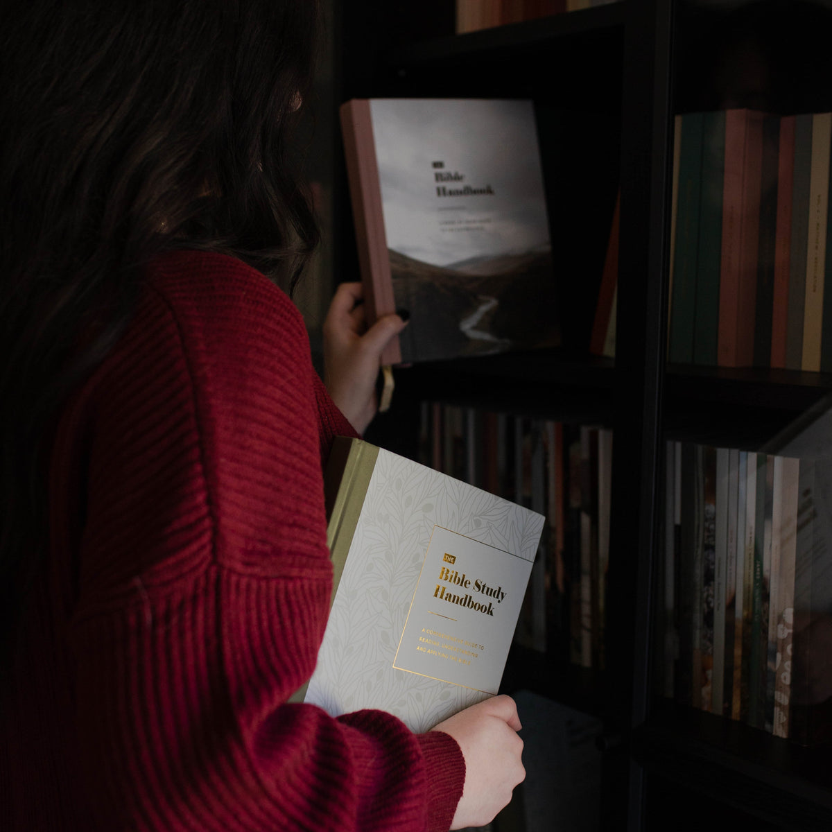 Better Together: The Bible Study Handbook and The Bible Handbook