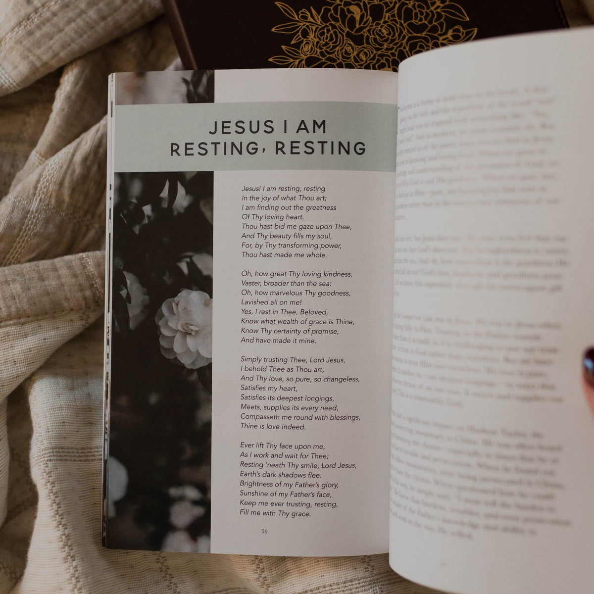 Hymns For A Mother's Heart