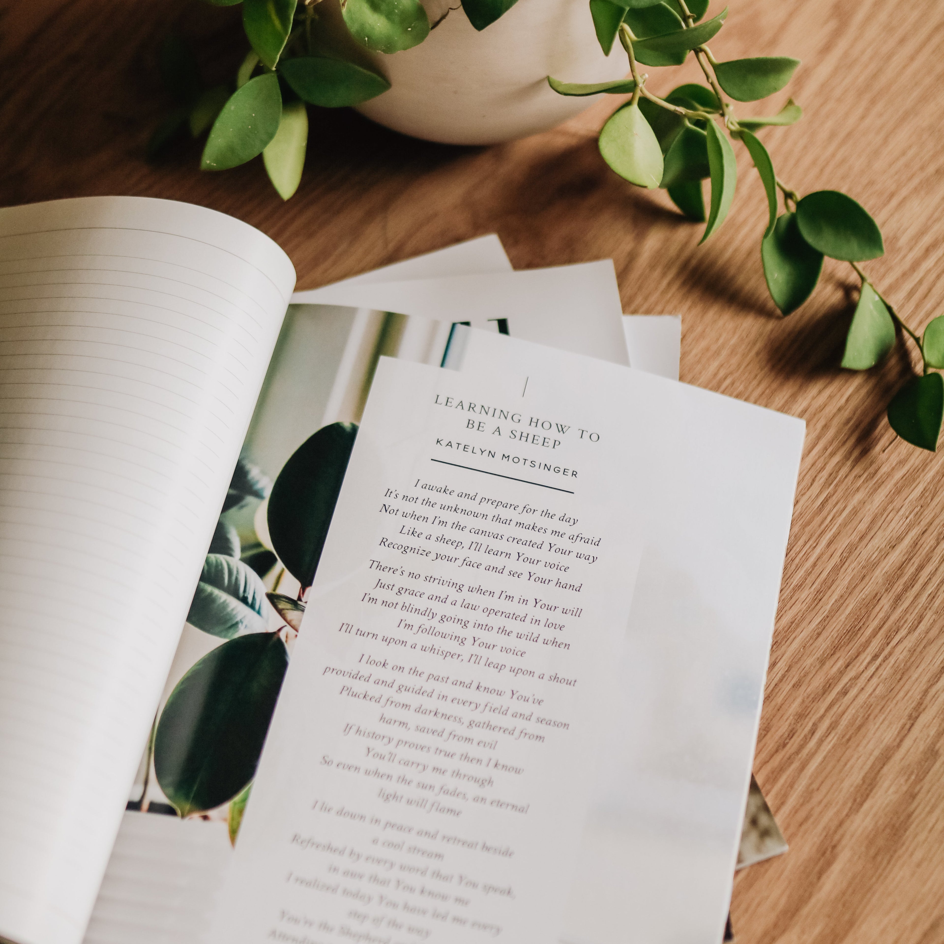 Be Still Magazine | Issue 26