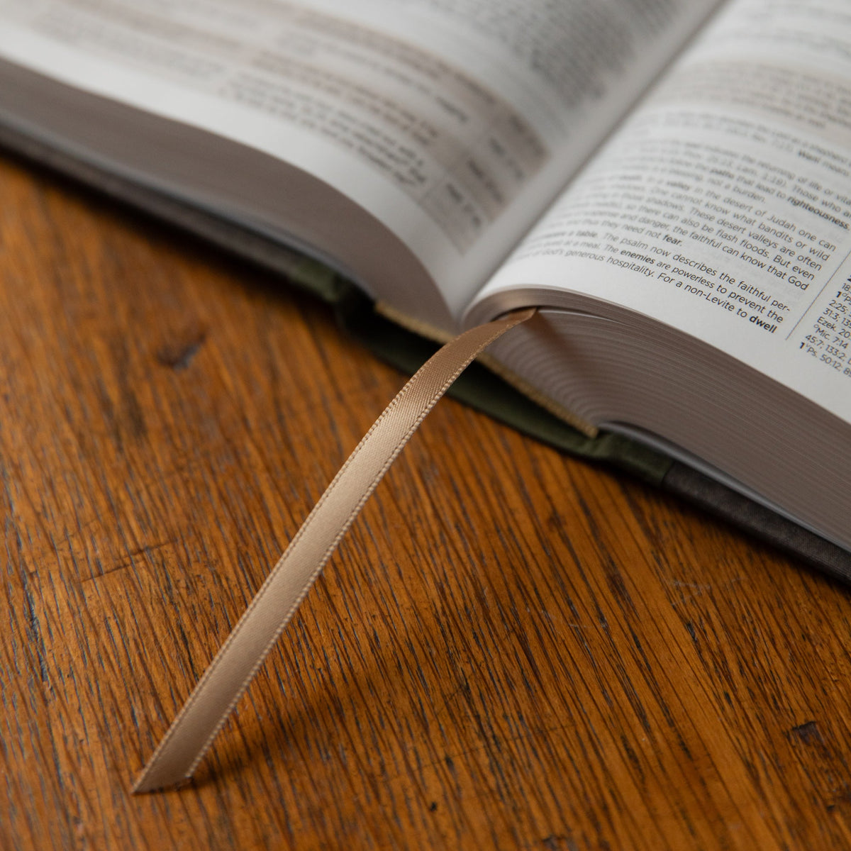 ESV Single-Column Journaling Study Bible | Hillside
