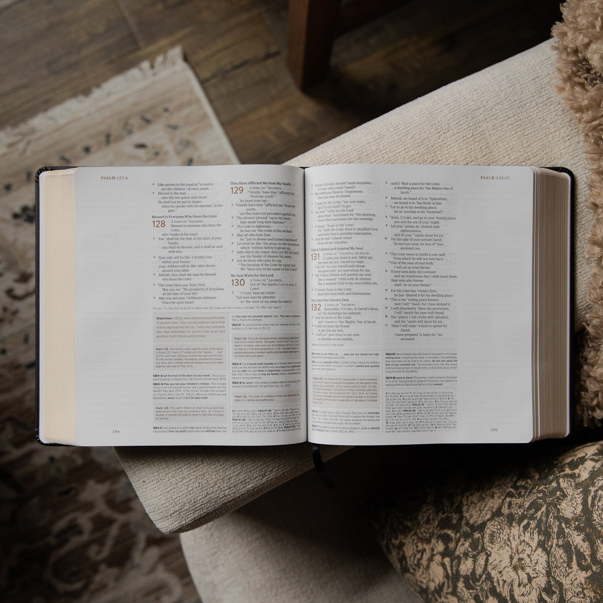 ESV Single-Column Journaling Study Bible | Satisfied