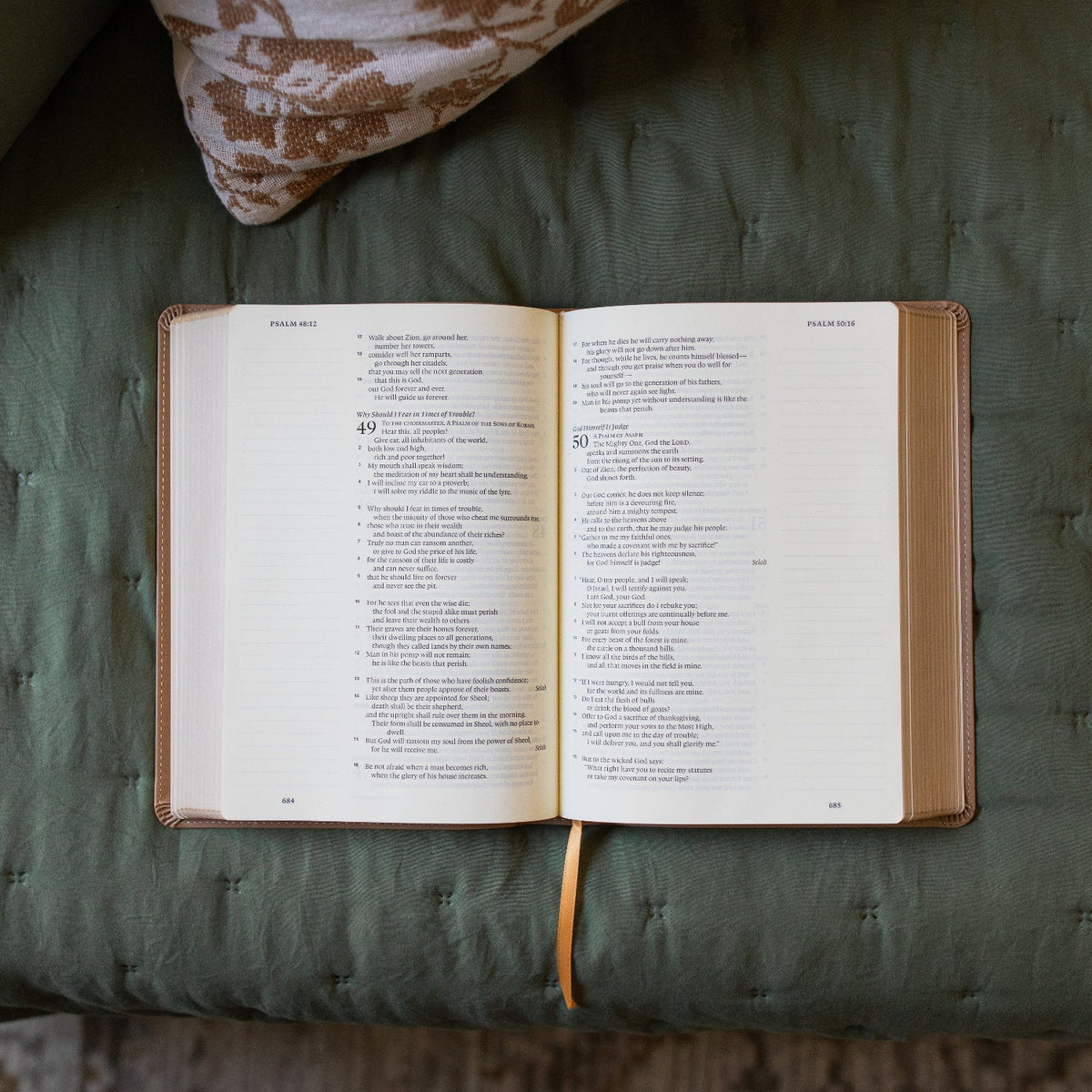 ESV Large Print Single Column Journaling Bible | Lamp and Light