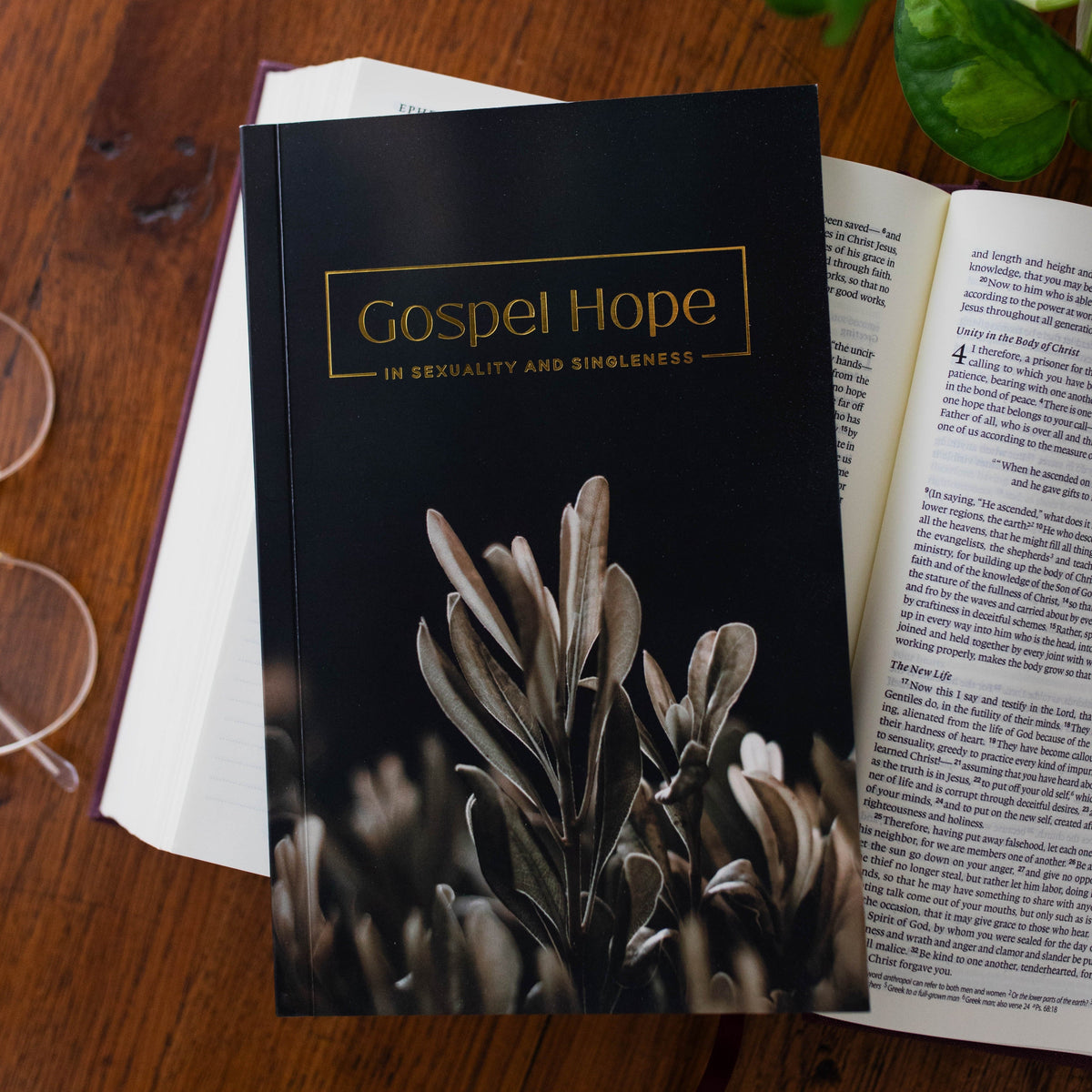 Gospel Hope for Sexuality and Singleness Booklet