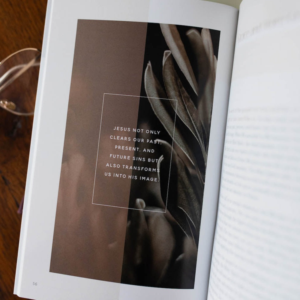 Gospel Hope for Sexuality and Singleness Booklet
