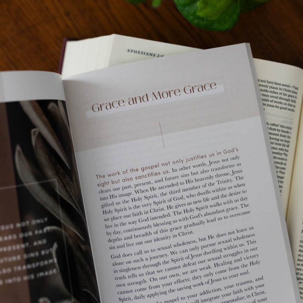 Gospel Hope for Sexuality and Singleness Booklet